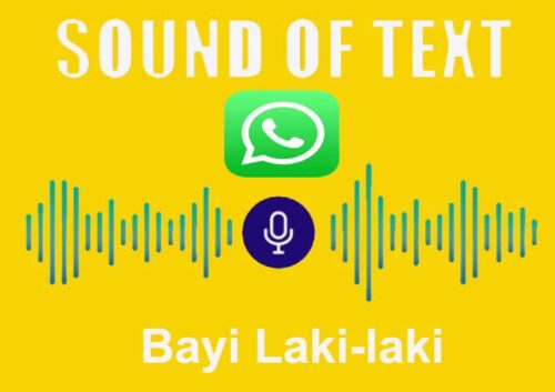 Cara Membuat Sound of Text WA Suara Bayi Laki-laki