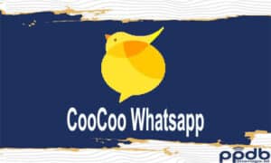 CooCoo Whatsapp