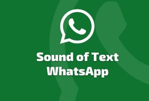 Fitur Terbaru Dari Sound of Text WhatsApp