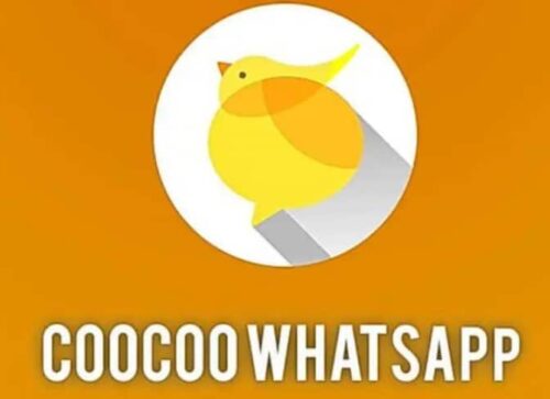 Review CooCoo WhatsApp Terbaru