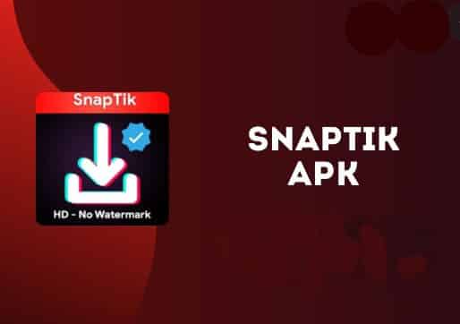 Review Dari SnapTik App