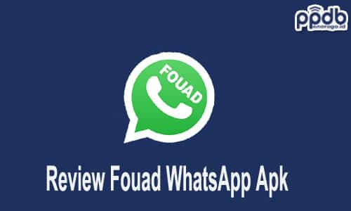 Review Fouad WhatsApp Apk