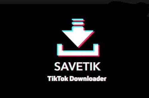 Review SaveTik